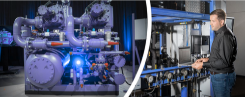 عدن هوست 2025 09 27t120148.687