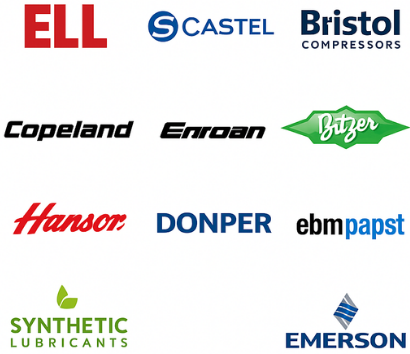 عدن هوست (57)